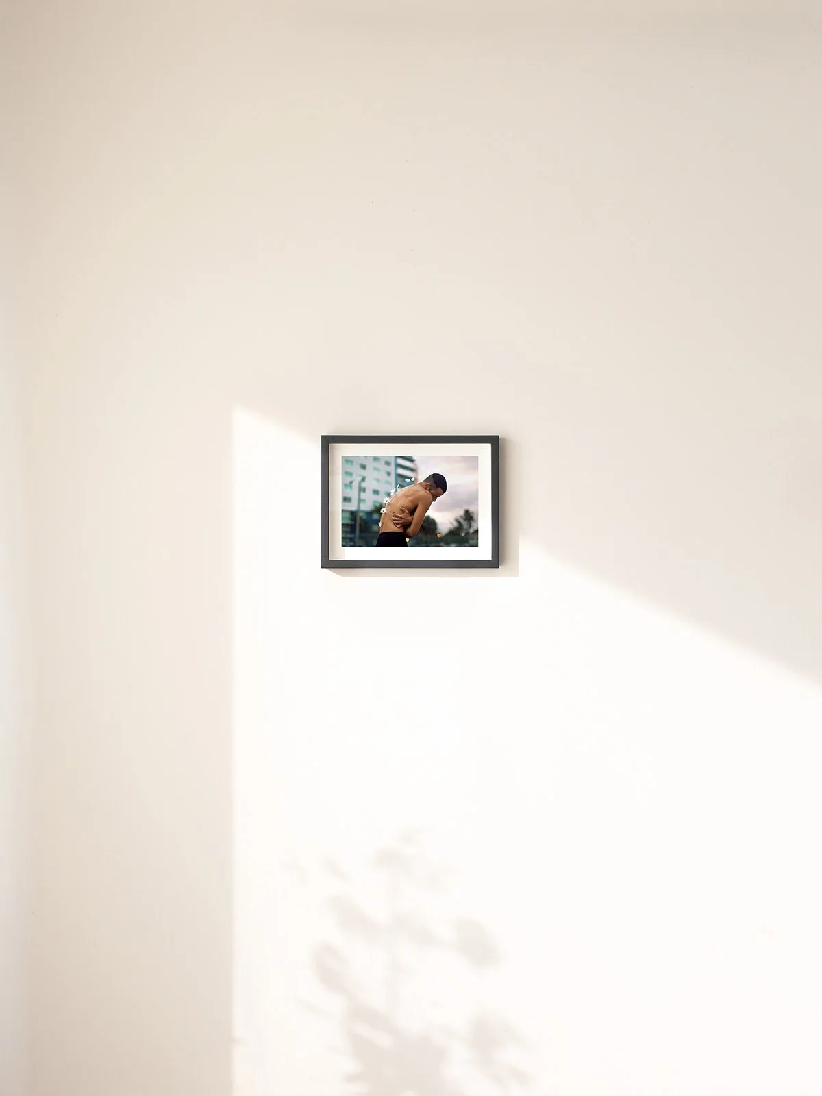 Lucid Afternoons | Discover Unique Artworks – Shop Now — James Miille